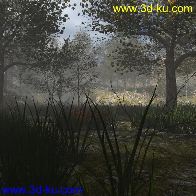 Foggy Forest 2模型的图片7