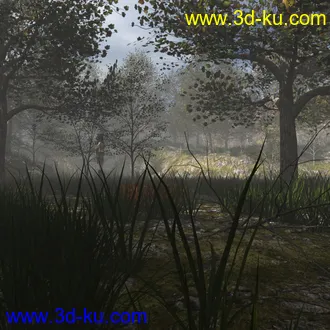 3D打印模型Foggy Forest 2的图片