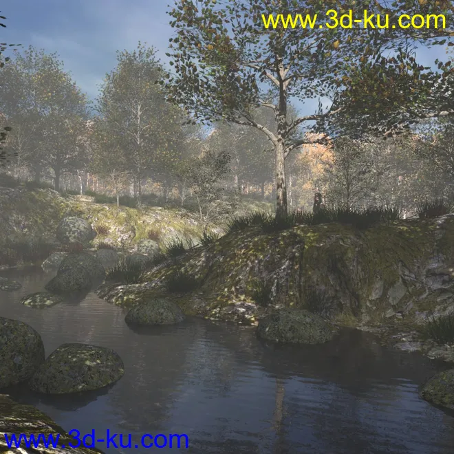 Foggy Forest 2模型的图片8