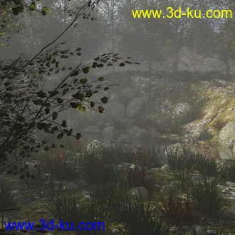 3D打印模型Foggy Forest 2的图片