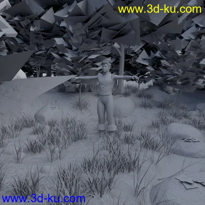 Foggy Forest 2模型的图片13