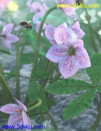 3D打印模型Garden Plants - Helleborus orientalis Christmas Rose Flowers的图片