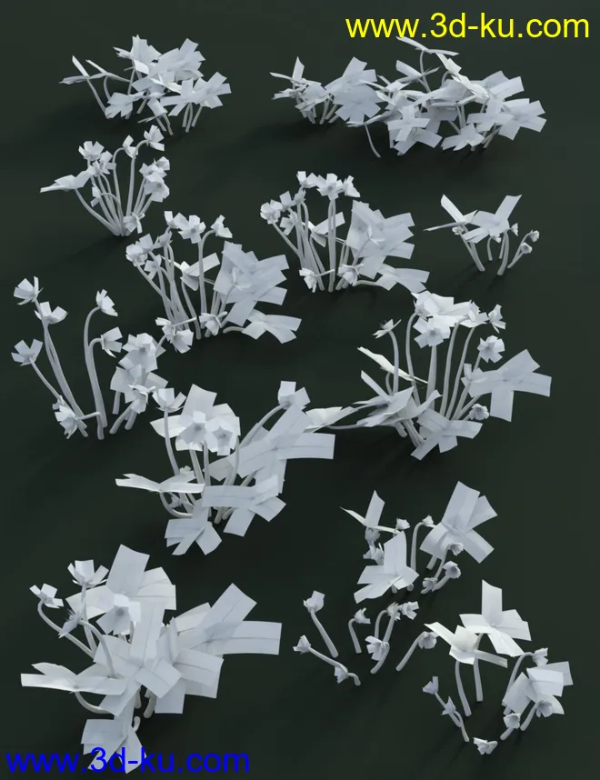 Garden Plants - Helleborus orientalis Christmas Rose Flowers模型的图片5