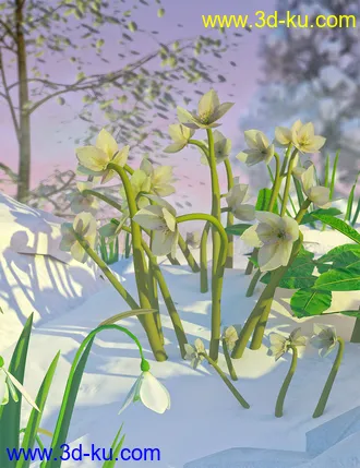 3D打印模型Garden Plants - Helleborus orientalis Christmas Rose Flowers的图片