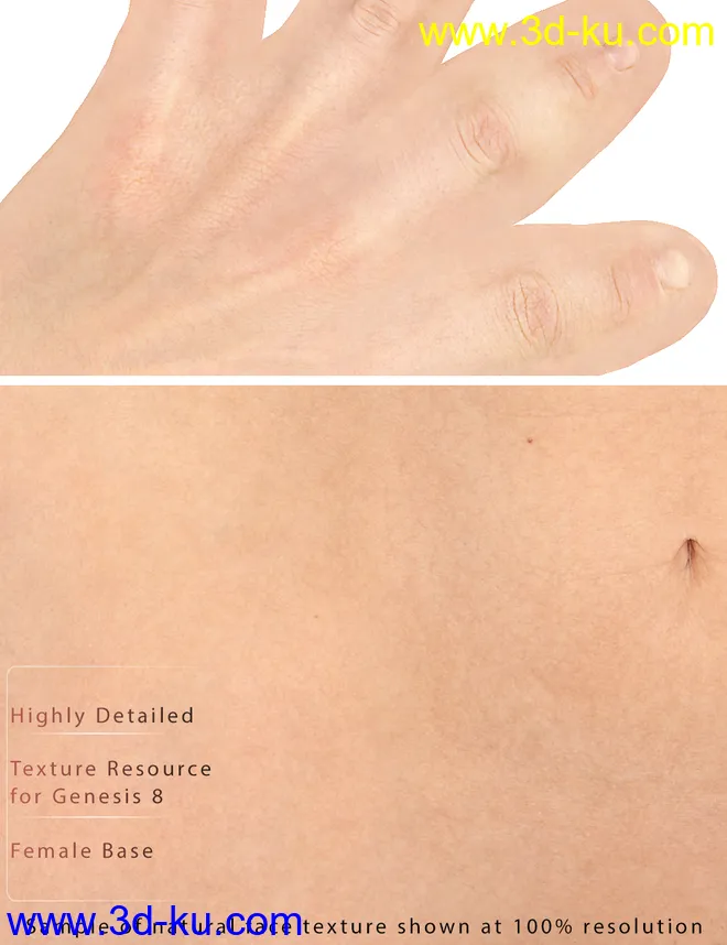 Genesis 8 Female Texture Merchant Resource- Light Skin模型的图片4