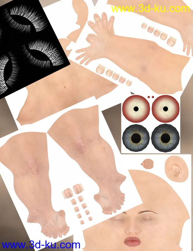 Genesis 8 Female Texture Merchant Resource- Light Skin模型的图片7