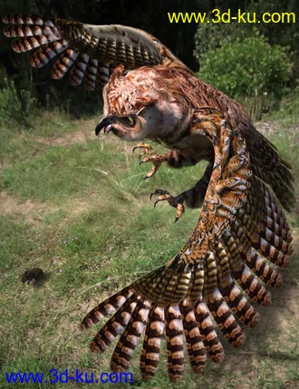 3D打印模型Great Horned Owl的图片