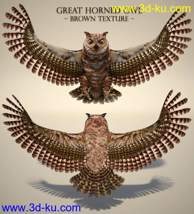 Great Horned Owl模型的图片2