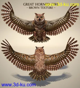 3D打印模型Great Horned Owl的图片