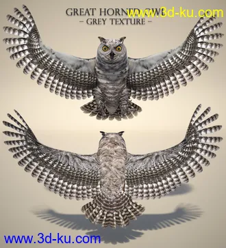 3D打印模型Great Horned Owl的图片