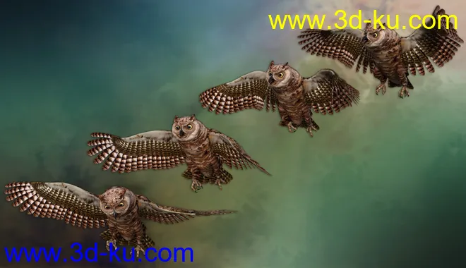 Great Horned Owl模型的图片4