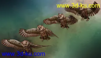 3D打印模型Great Horned Owl的图片