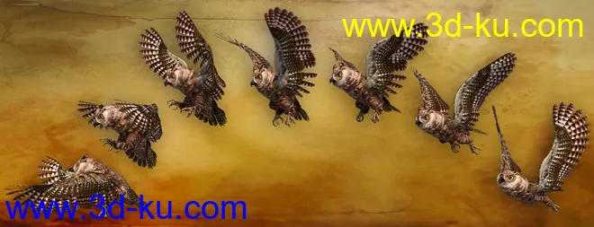 Great Horned Owl模型的图片5