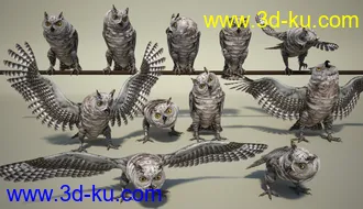 3D打印模型Great Horned Owl的图片