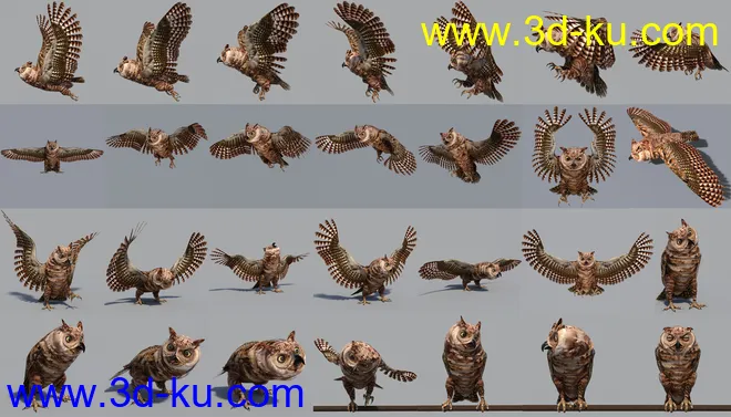 Great Horned Owl模型的图片7