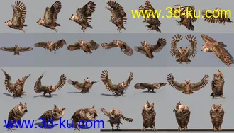 3D打印模型Great Horned Owl的图片