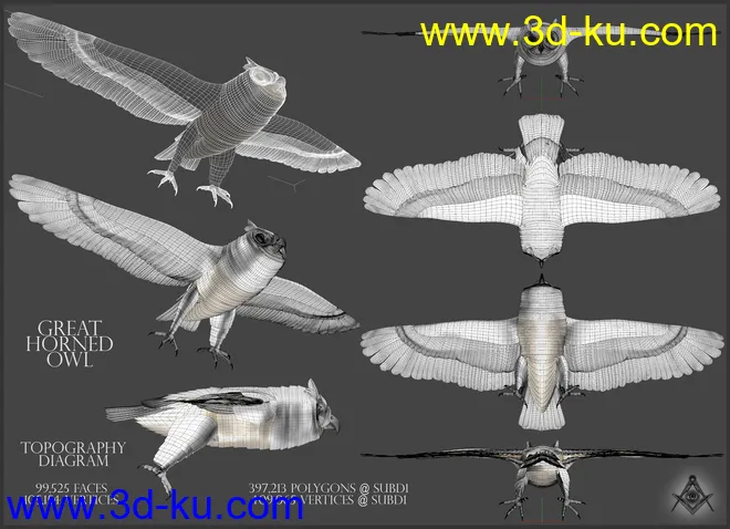 Great Horned Owl模型的图片9