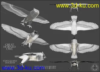 3D打印模型Great Horned Owl的图片