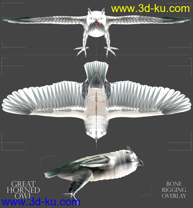 Great Horned Owl模型的图片10