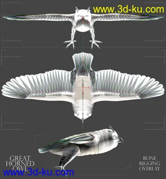 3D打印模型Great Horned Owl的图片