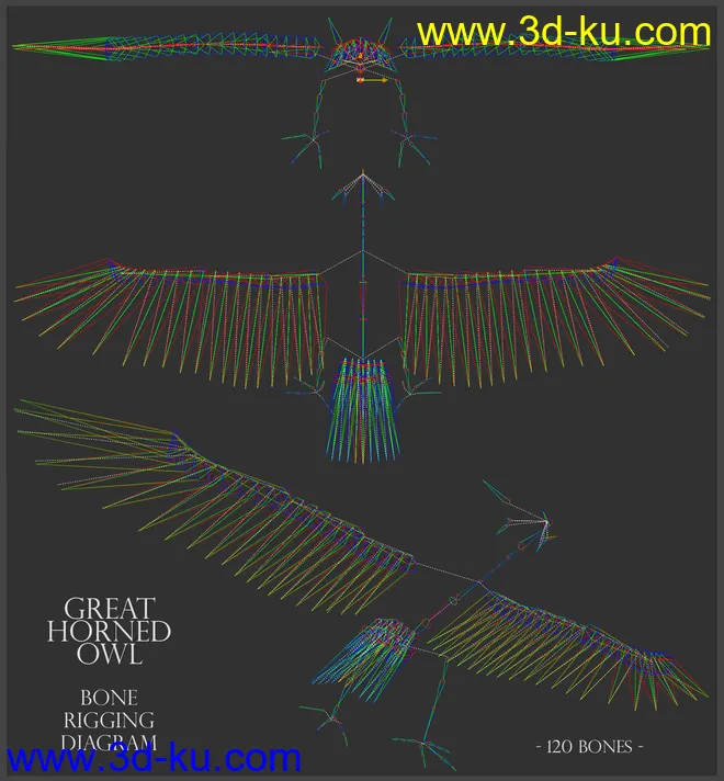 Great Horned Owl模型的图片11