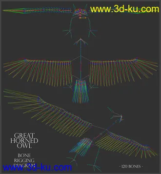 3D打印模型Great Horned Owl的图片