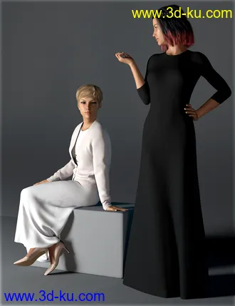 3D打印模型H&C dForce Simple Long Dress Outfit for Genesis 8 Female(s)的图片