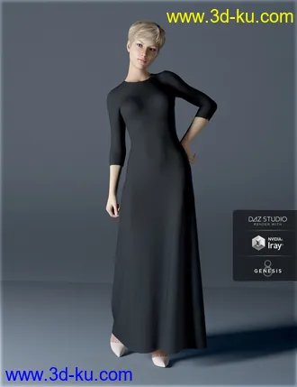 3D打印模型H&C dForce Simple Long Dress Outfit for Genesis 8 Female(s)的图片