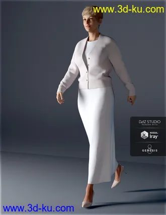 3D打印模型H&C dForce Simple Long Dress Outfit for Genesis 8 Female(s)的图片