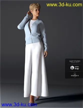 3D打印模型H&C dForce Simple Long Dress Outfit for Genesis 8 Female(s)的图片