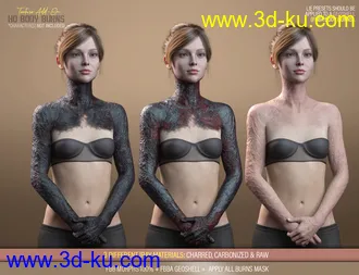 HD Body Burns Add-On for Genesis 8 and 8.1 Females模型的图片2