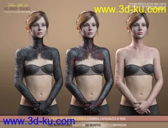 3D打印模型HD Body Burns Add-On for Genesis 8 and 8.1 Females的图片