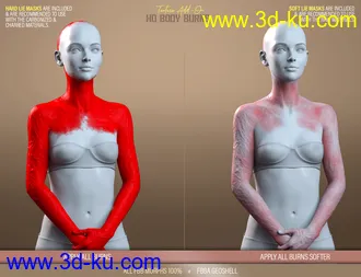 3D打印模型HD Body Burns Add-On for Genesis 8 and 8.1 Females的图片
