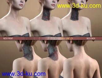 HD Body Burns Add-On for Genesis 8 and 8.1 Females模型的图片11