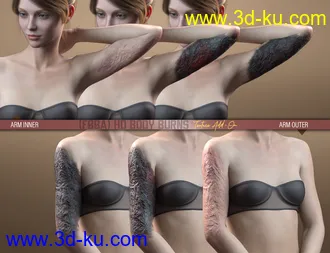 HD Body Burns Add-On for Genesis 8 and 8.1 Females模型的图片13