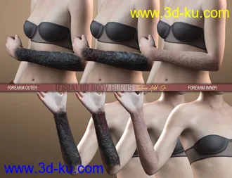 HD Body Burns Add-On for Genesis 8 and 8.1 Females模型的图片15