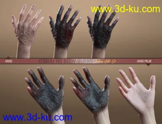 HD Body Burns Add-On for Genesis 8 and 8.1 Females模型的图片16