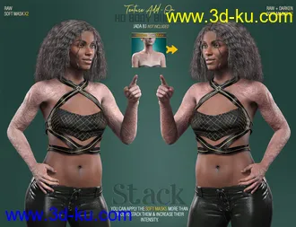 HD Body Burns Add-On for Genesis 8 and 8.1 Females模型的图片25