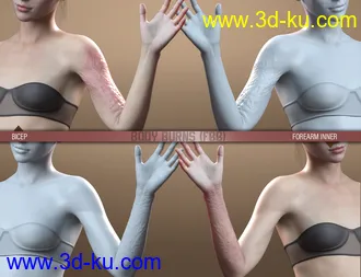 3D打印模型HD Body Burns for Genesis 8 and 8.1 Females的图片