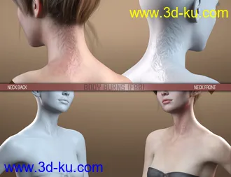 3D打印模型HD Body Burns for Genesis 8 and 8.1 Females的图片