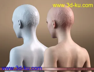 3D打印模型HD Body Burns for Genesis 8 and 8.1 Females的图片