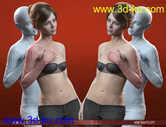 3D打印模型HD Body Burns for Genesis 8 and 8.1 Females的图片