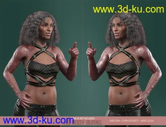 3D打印模型HD Body Burns for Genesis 8 and 8.1 Females的图片