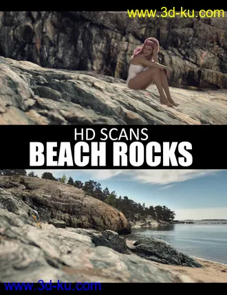 HD Scans Beach Rocks模型的图片1