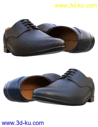 3D打印模型HL Derby Shoe for Genesis 8 and 8.1 Males的图片