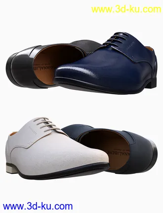 3D打印模型HL Derby Shoe for Genesis 8 and 8.1 Males的图片