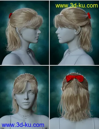3D打印模型Isabel Casual Hair for Genesis 8 Females的图片