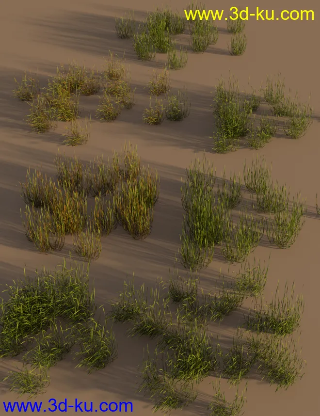 Just Beachy - Seagrass Underwater Meadows模型的图片4