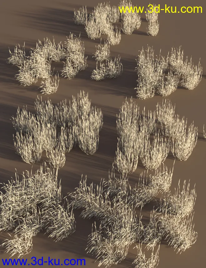 Just Beachy - Seagrass Underwater Meadows模型的图片5