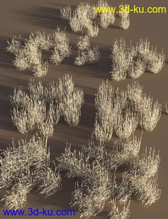 3D打印模型Just Beachy - Seagrass Underwater Meadows的图片